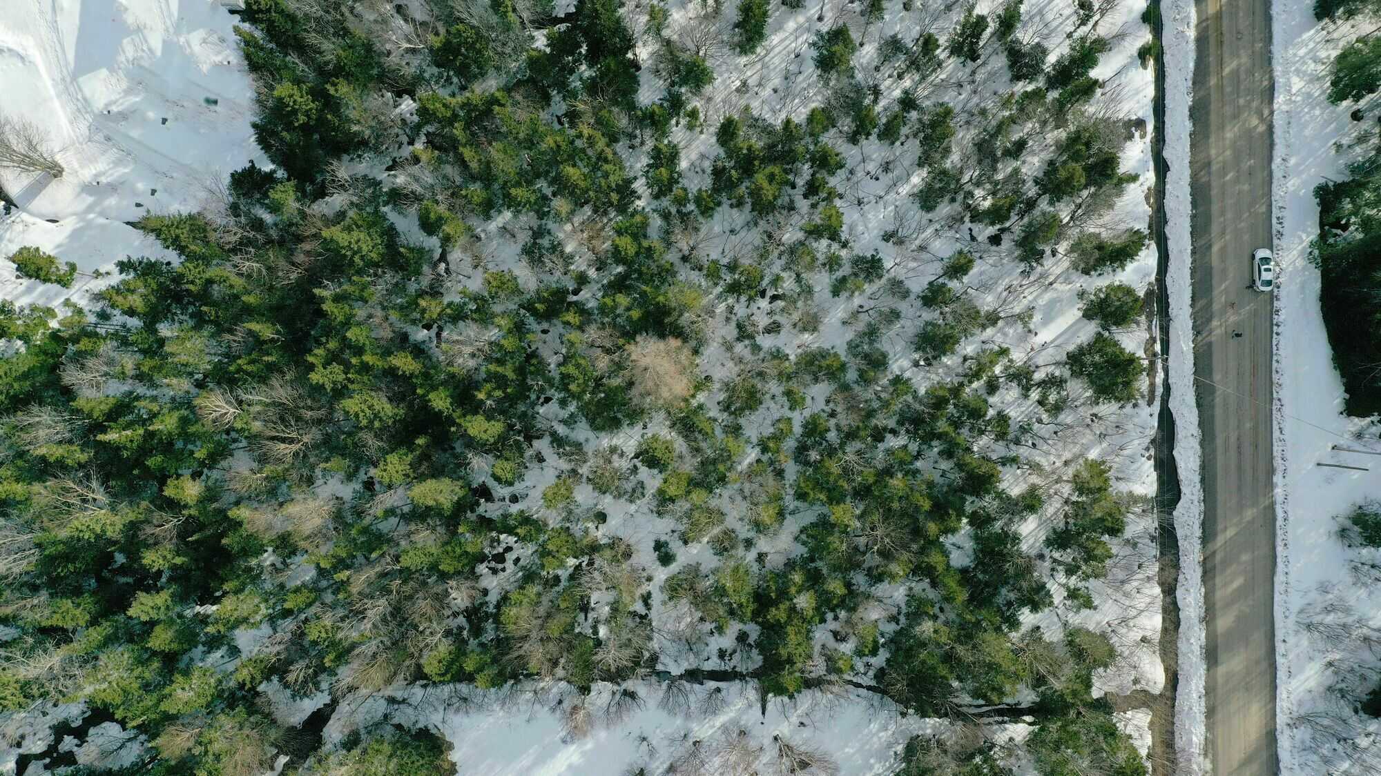 Build your dream home here! 4