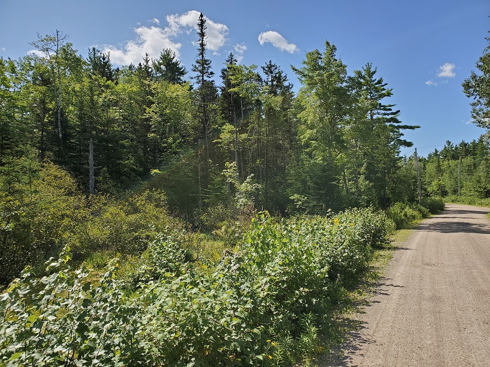Chalet Hamlet / Cottage Lots / Country Home Lots / RV Sites. Two adjacent forested building lots on quiet road located in Vaughan, N.S. Total of 6.05 acres, with access to Armstrong Lake within the cottage development community of Chalet Hamlet. 2