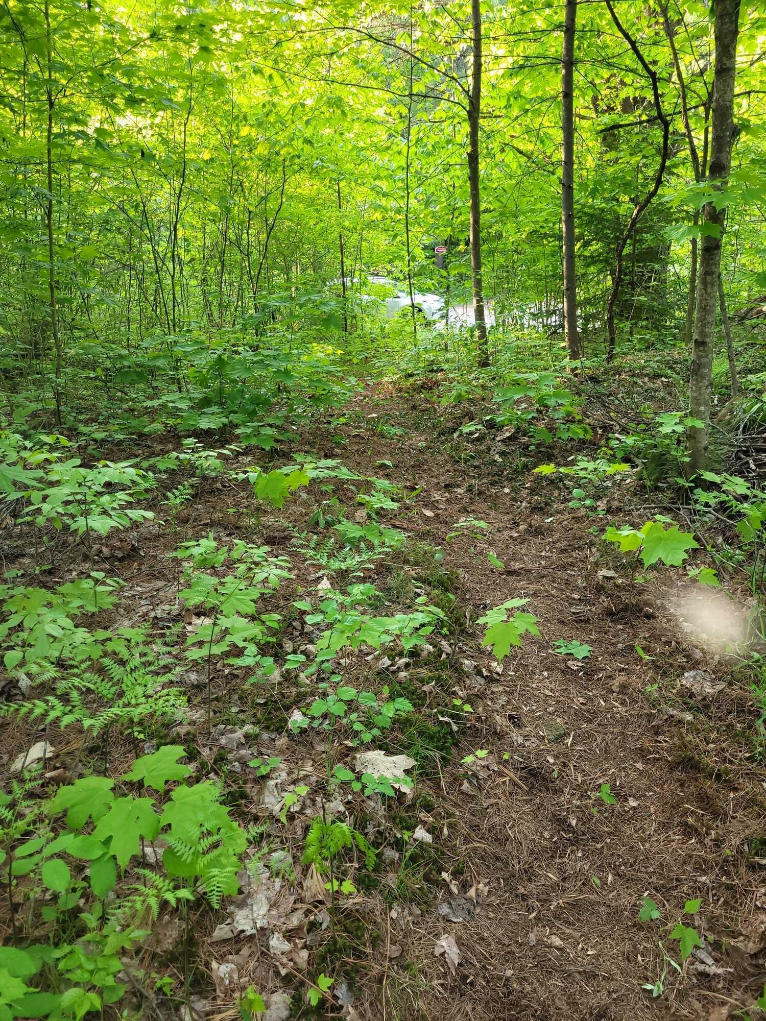 Rare Opportunity — Double Town Lots in Baysville, Ont: Serviced! 4