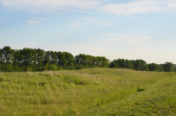 Foxfire Glen Lot 3, Block 3, Rimbey 3