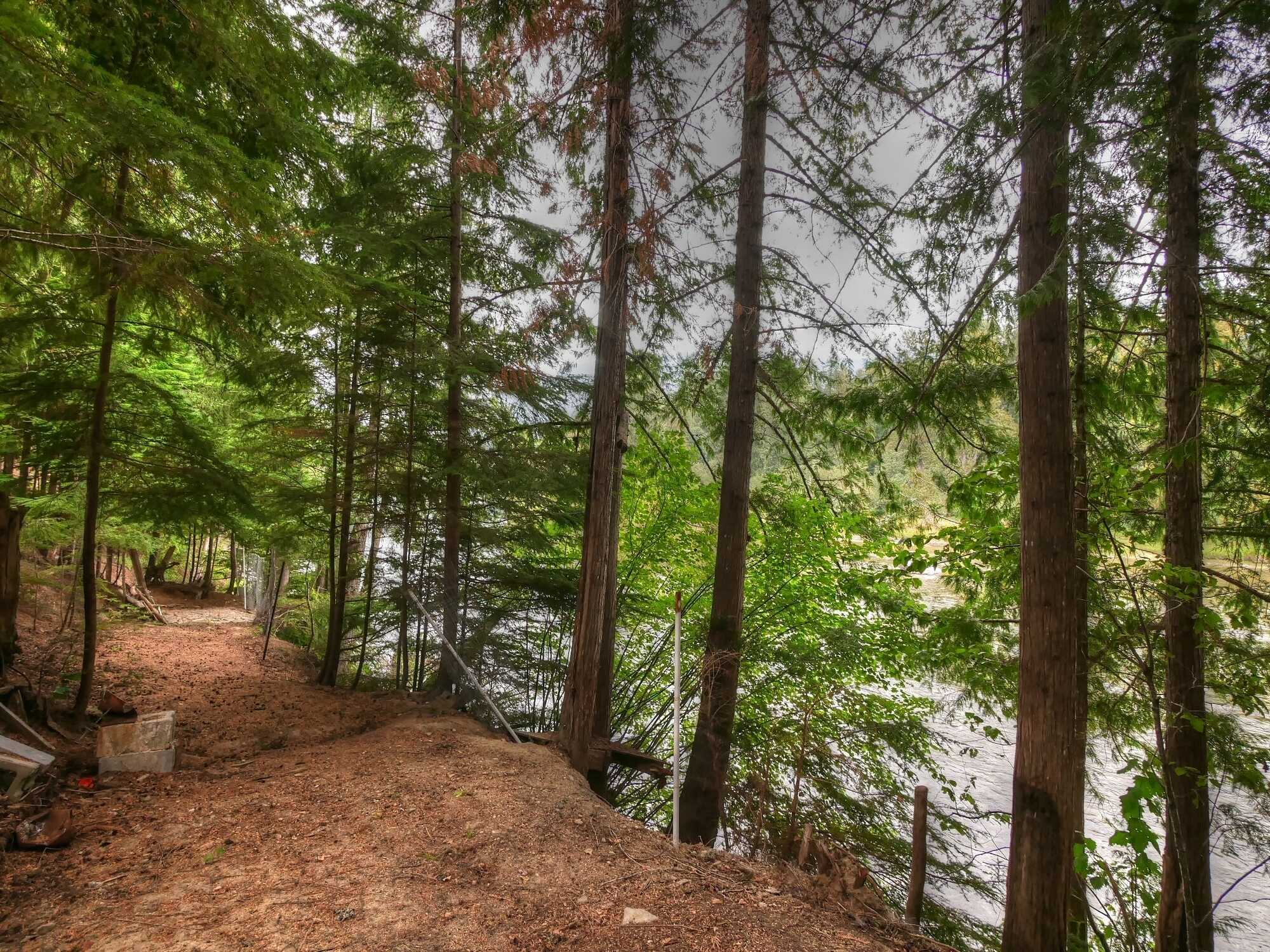 REALTORS WELCOME!! Offering $15,000 Commission
SLOCAN RIVER WATERFRONT PROPERTY!  LOVELY 3Bed 2Bath Family Home! Move In Ready! Landscaped! Detached HUGE Carport! New Well & Underground electrical 3