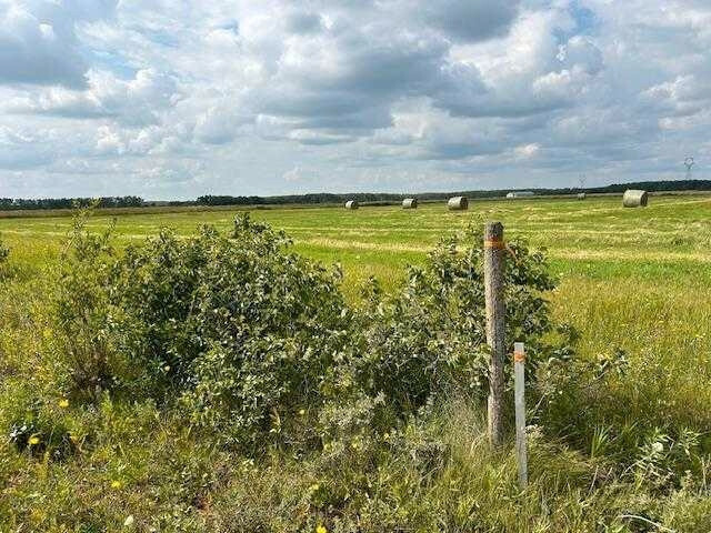 4 acres for sale 3