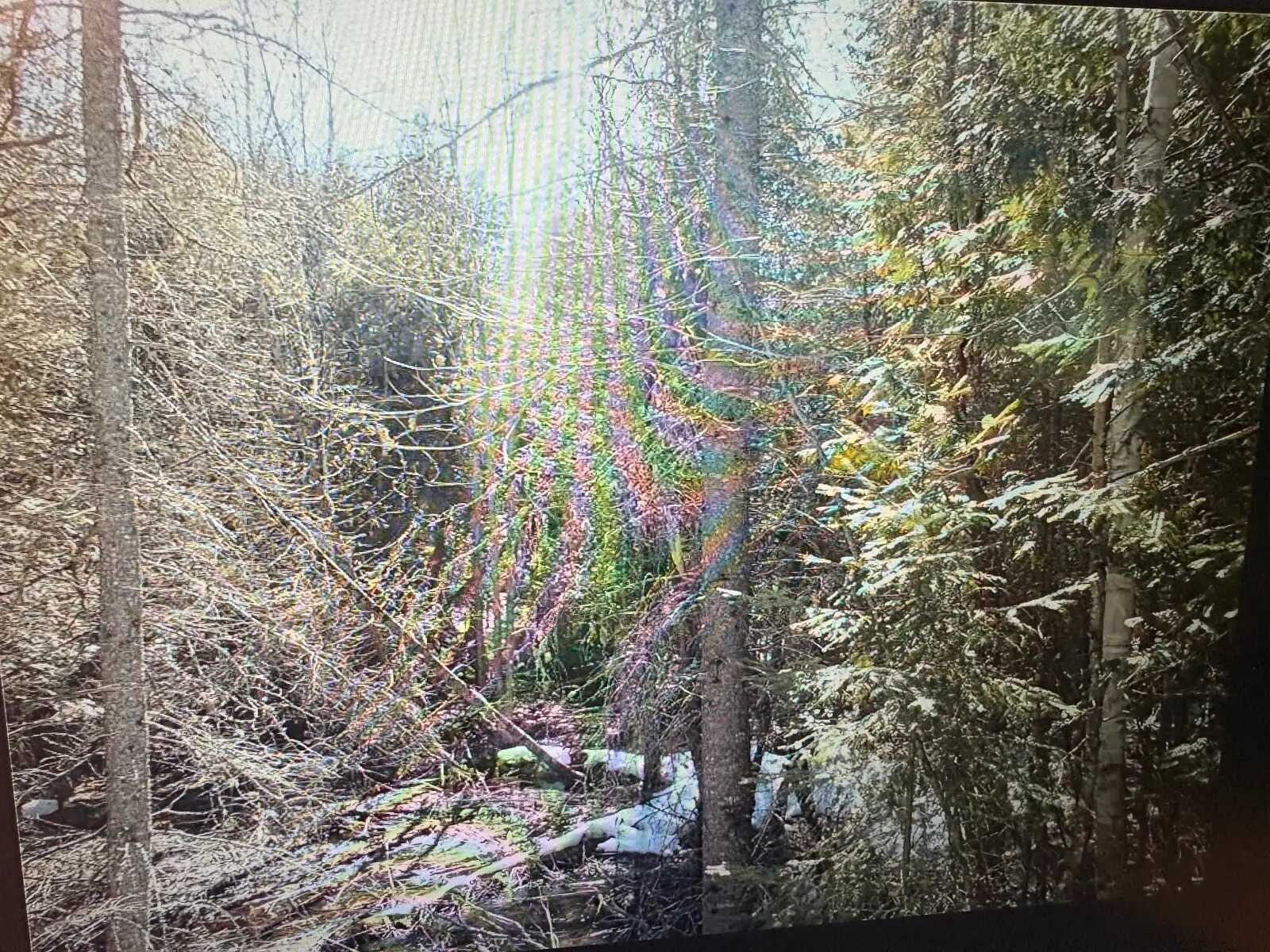Land for sale 4