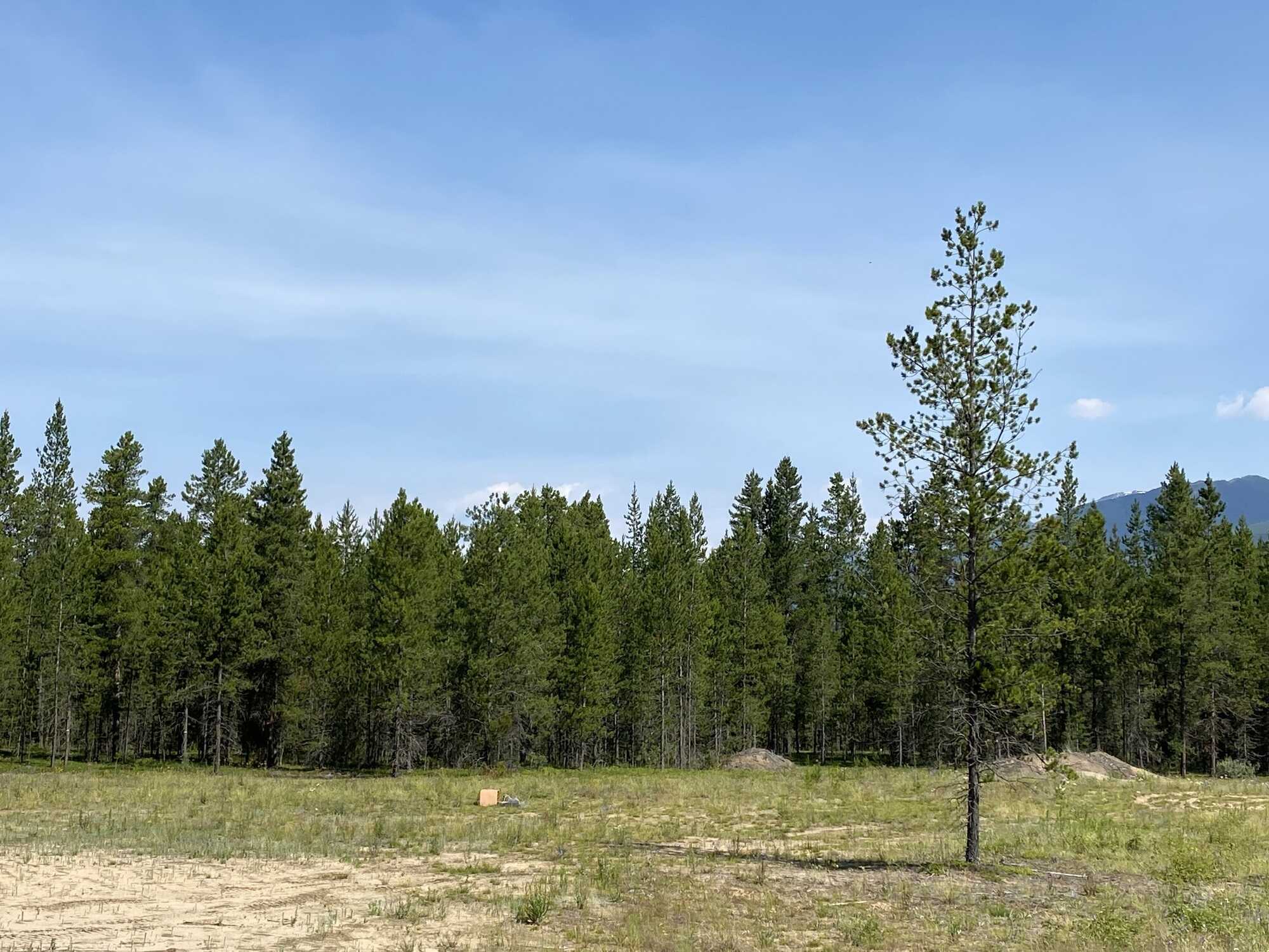 Looking for an affordable mountain town? 3