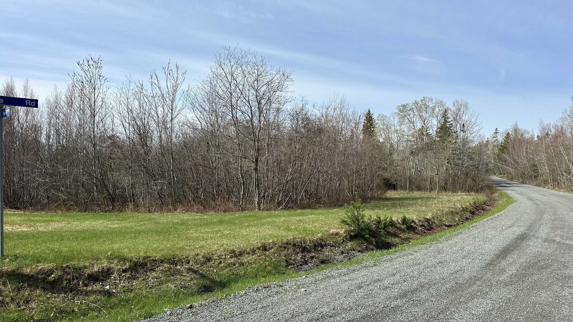 1.33 acres of paradise at Angevine Lake! 2