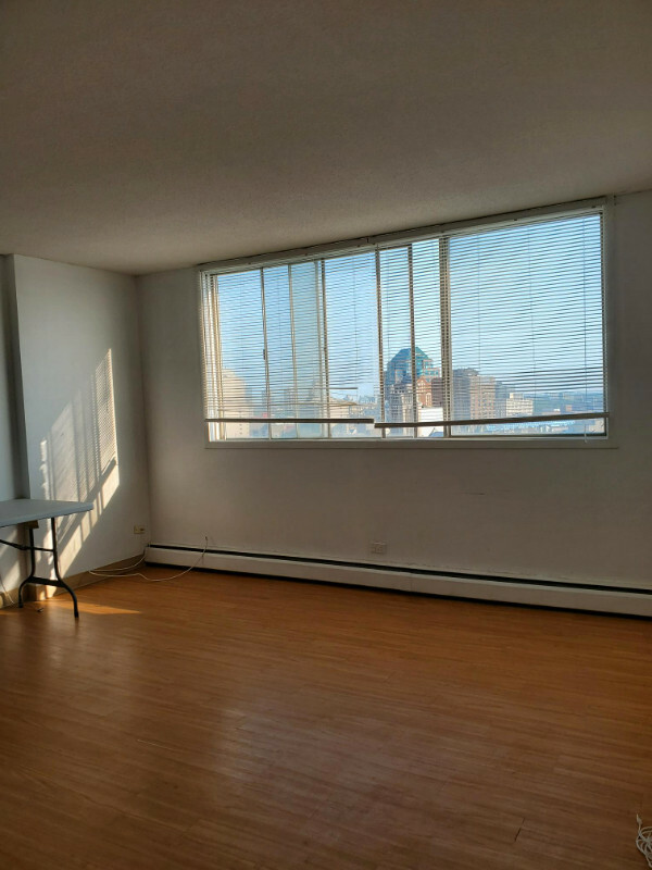 Beautiful One Bedroom Downtown Condo Available 5