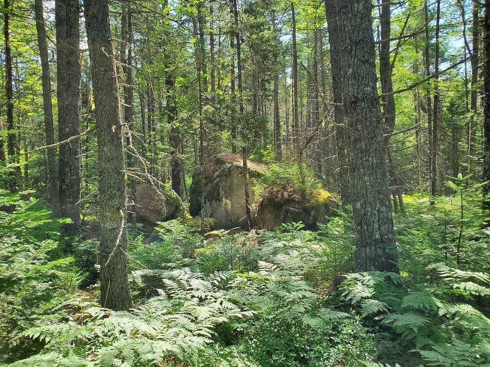 Chalet Hamlet / Cottage Lots / Country Home Lots / RV Sites. Two adjacent forested building lots on quiet road located in Vaughan, N.S. Total of 6.05 acres, with access to Armstrong Lake within the cottage development community of Chalet Hamlet. 4