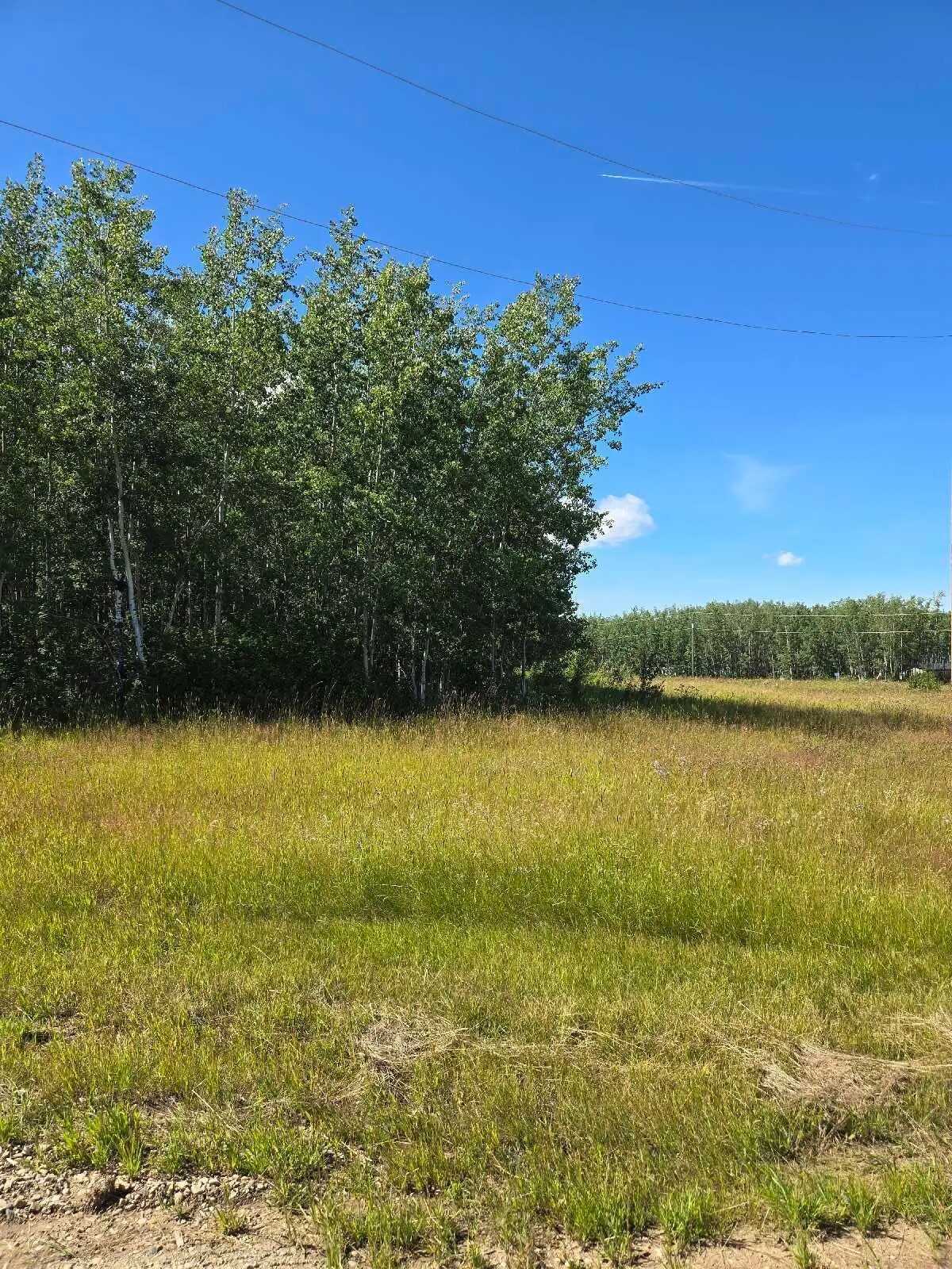 1.9 Acres in Charaden Meadows at Pigeon Lake 4