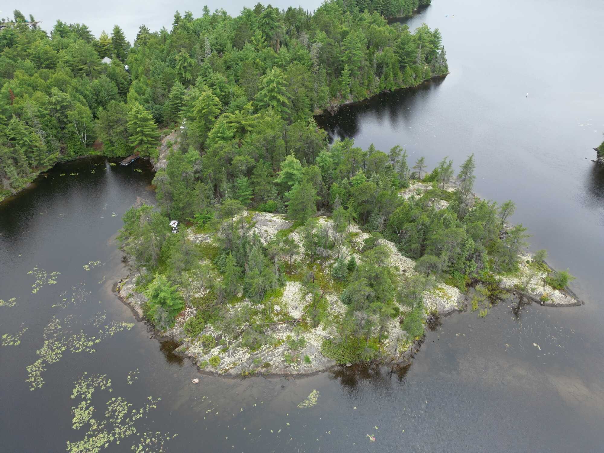 🌿 Tranquil Paradise Nestled on 1.78 Acres 🌿 3