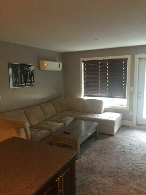 700 sq ft condo. 2