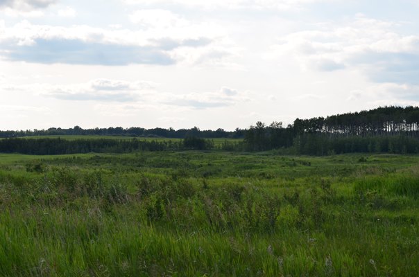 Foxfire Glen Lot 4 Block 3, Rimbey 3
