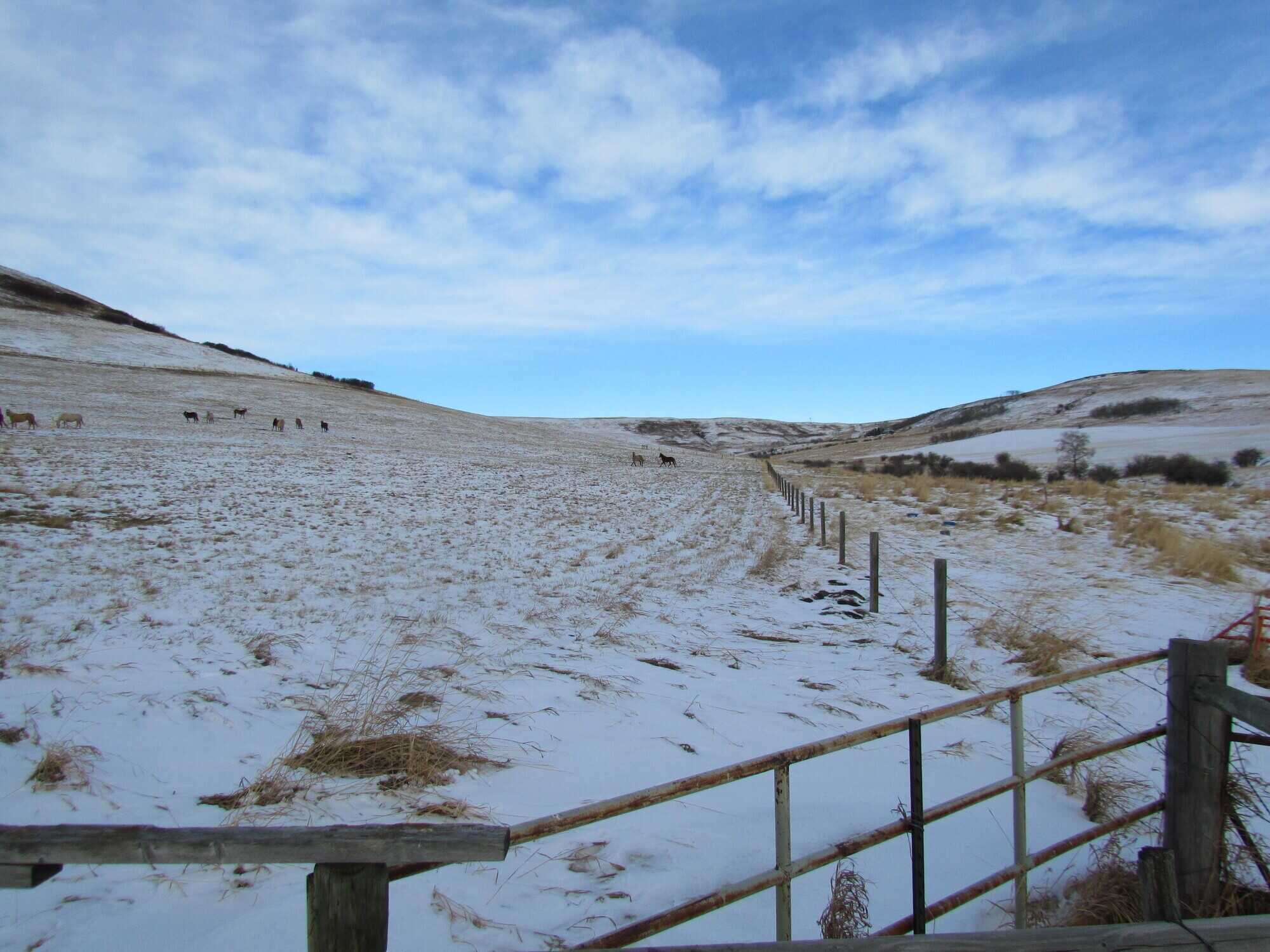Acreage in the Porcupine Hills 4