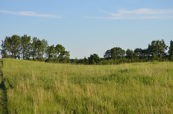Foxfire Glen Lot 3, Block 3, Rimbey 2