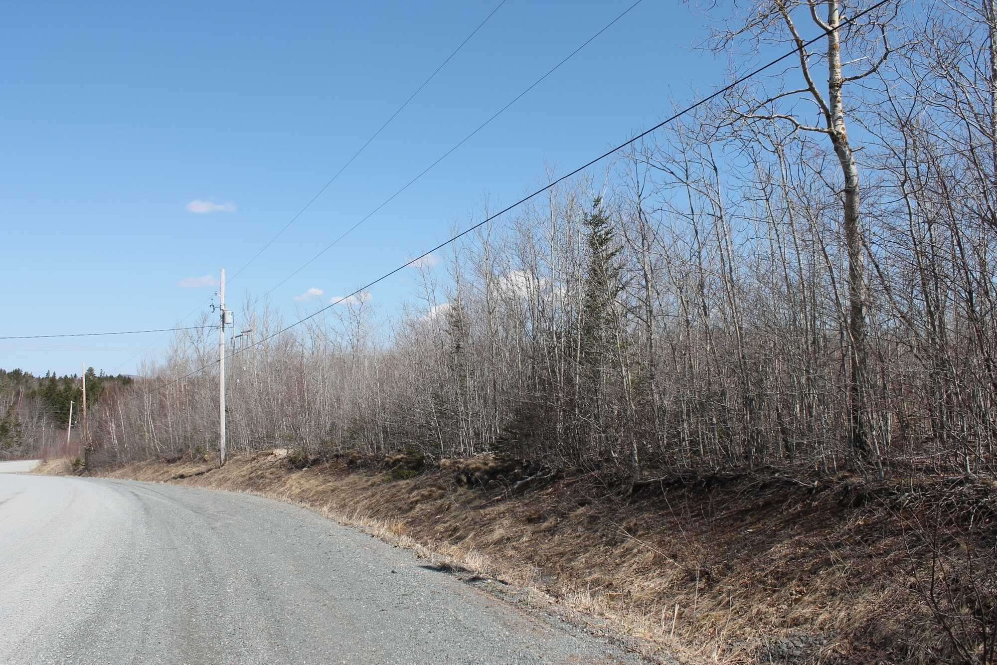 77 acres of land 5