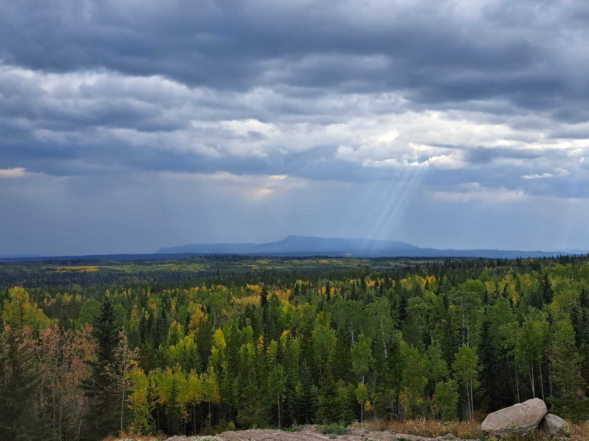 Updated price and active cell number 604-340-3126:155ac of Stunning off grid property 4