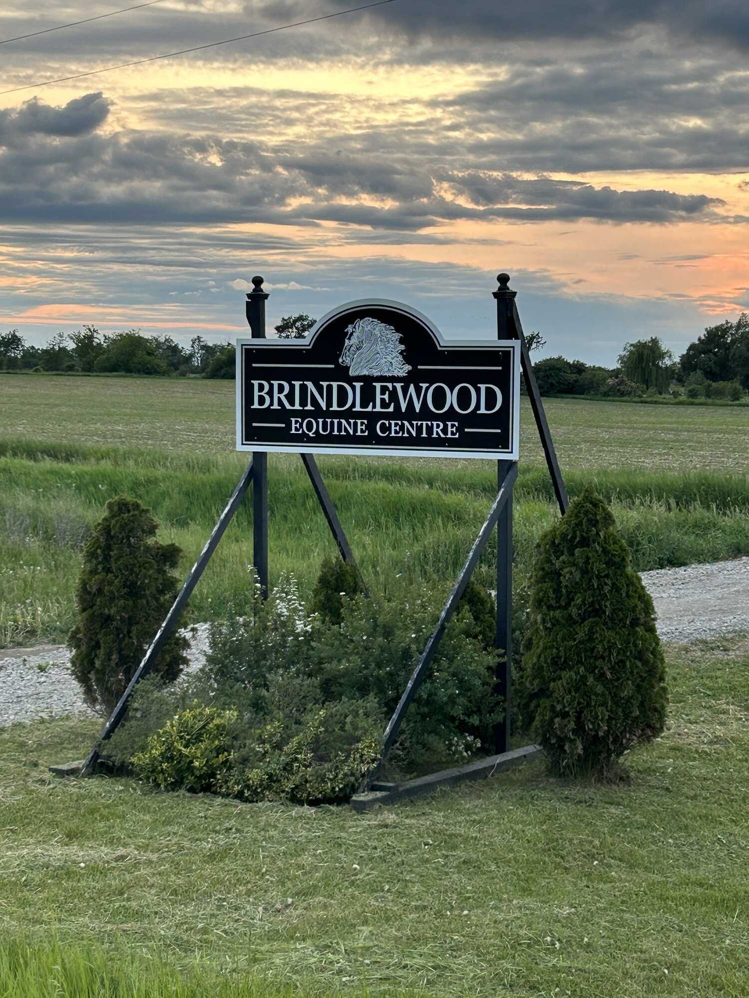 Amazing 70 acre property featuring an Equine Centre, fully renovated 5 bedroom Century Home, 3 car detached garage and a 15 stall horse barn! 5