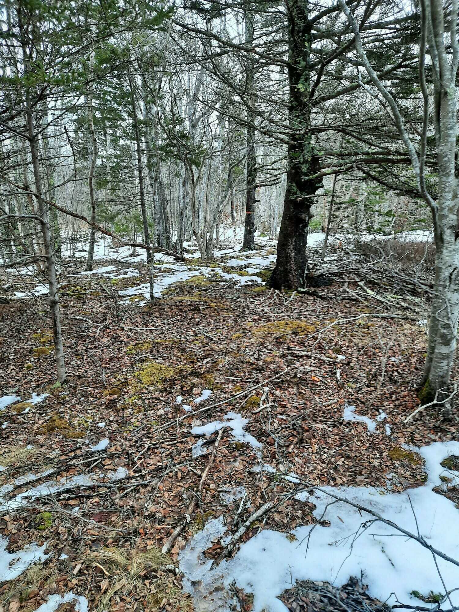 Old farm property with great potential! 4