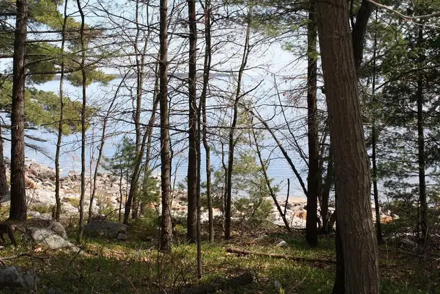 Killarney Waterfront Georgian Bay 3