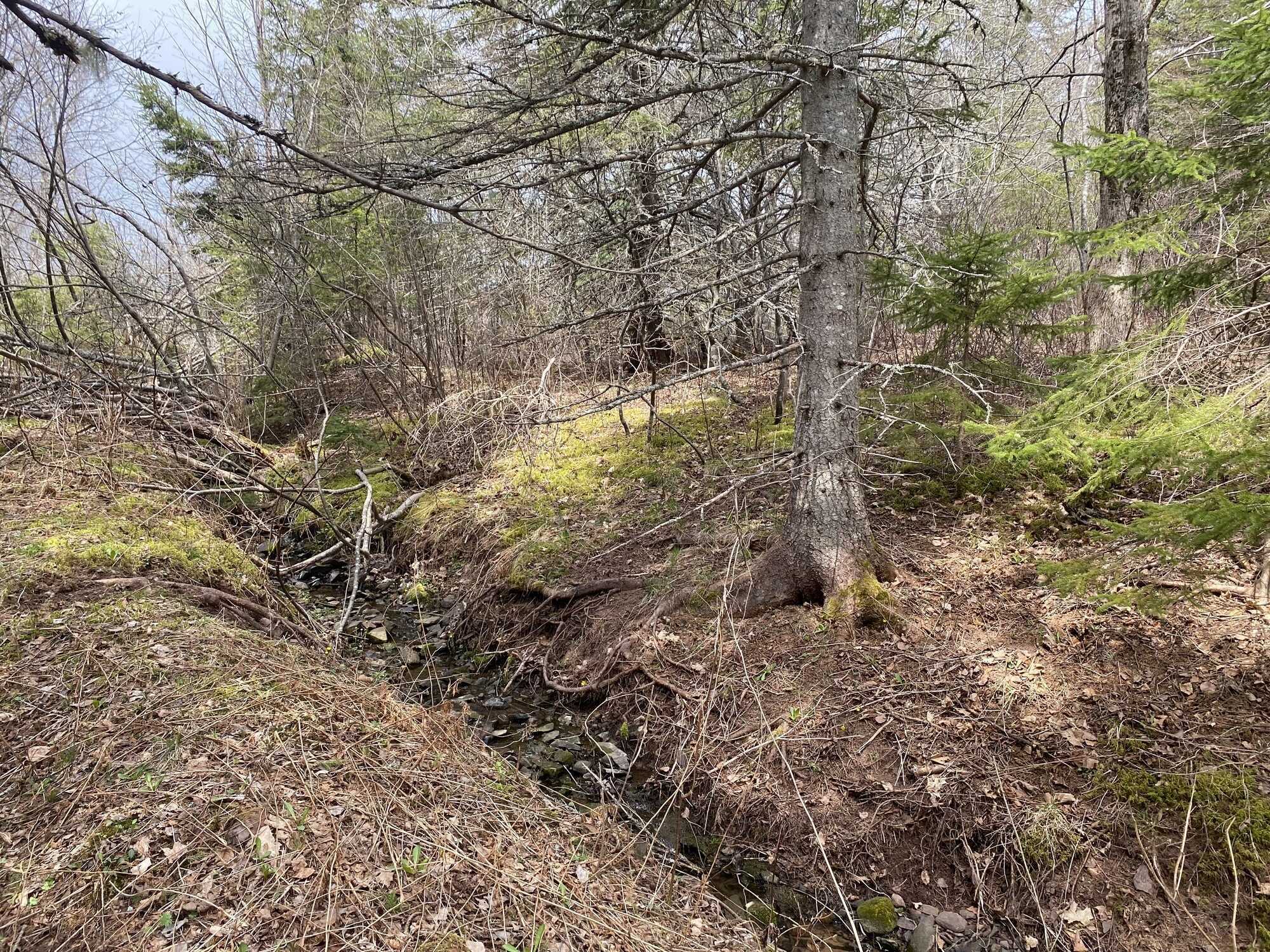 Land in Eureka! Competitive pricing! 4
