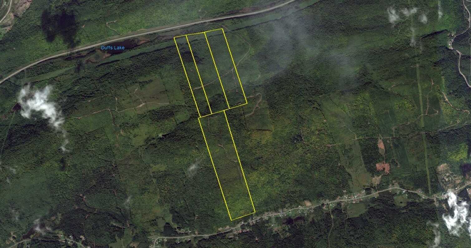 Forest Mountain Land for Sale 2