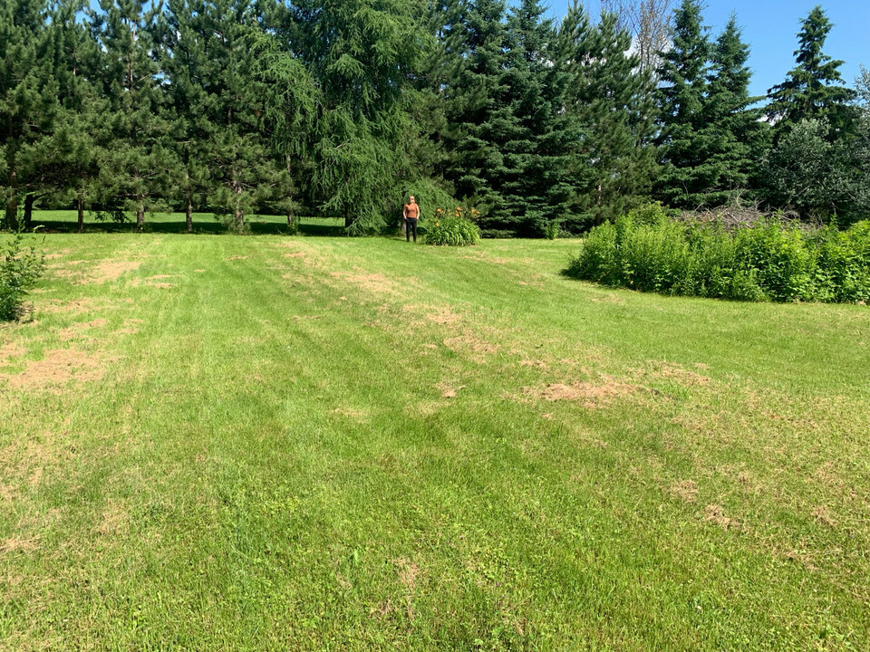 Large Lot in Charlton for sale, open to trades 4