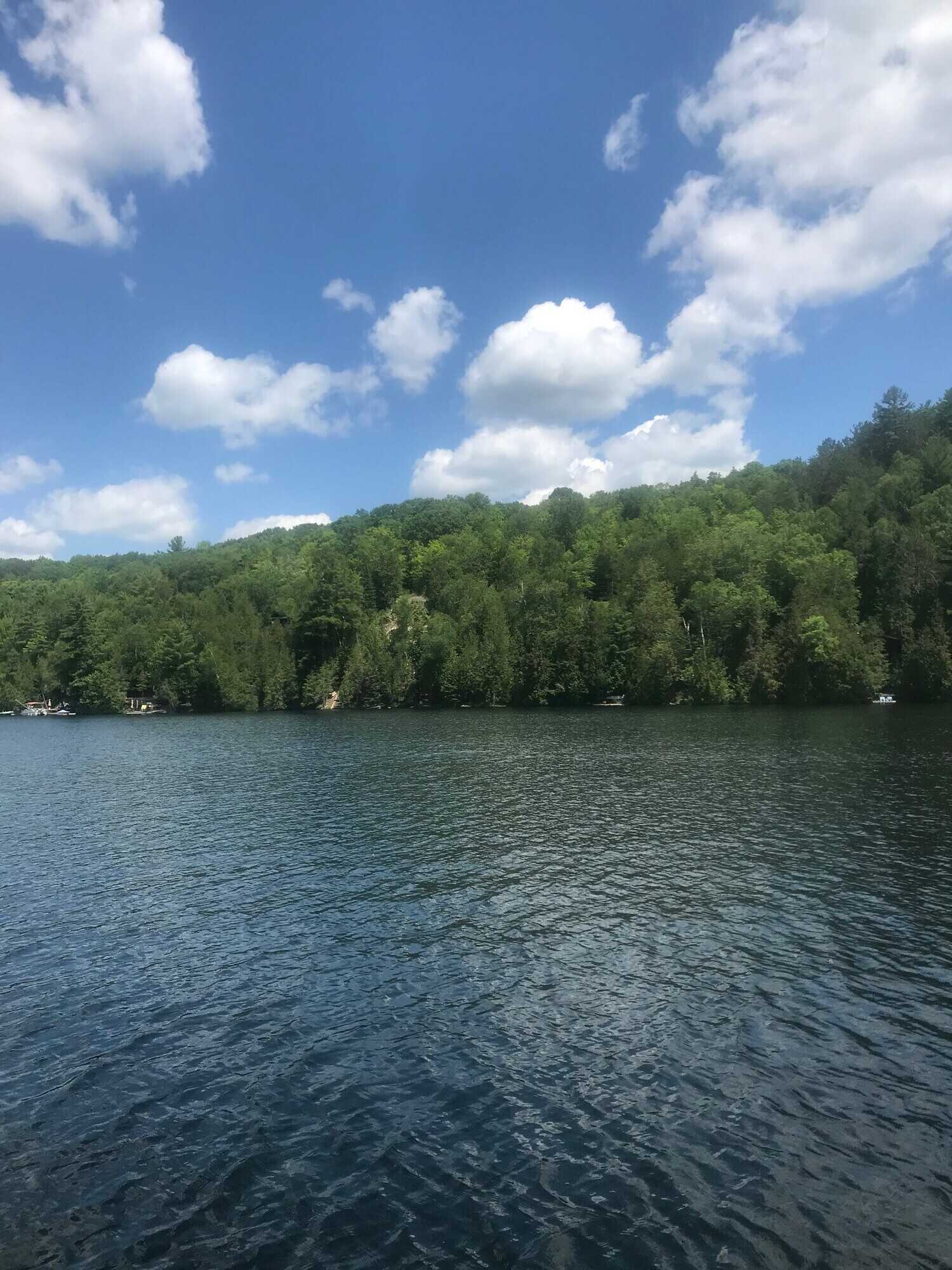 Land for Sale 2
