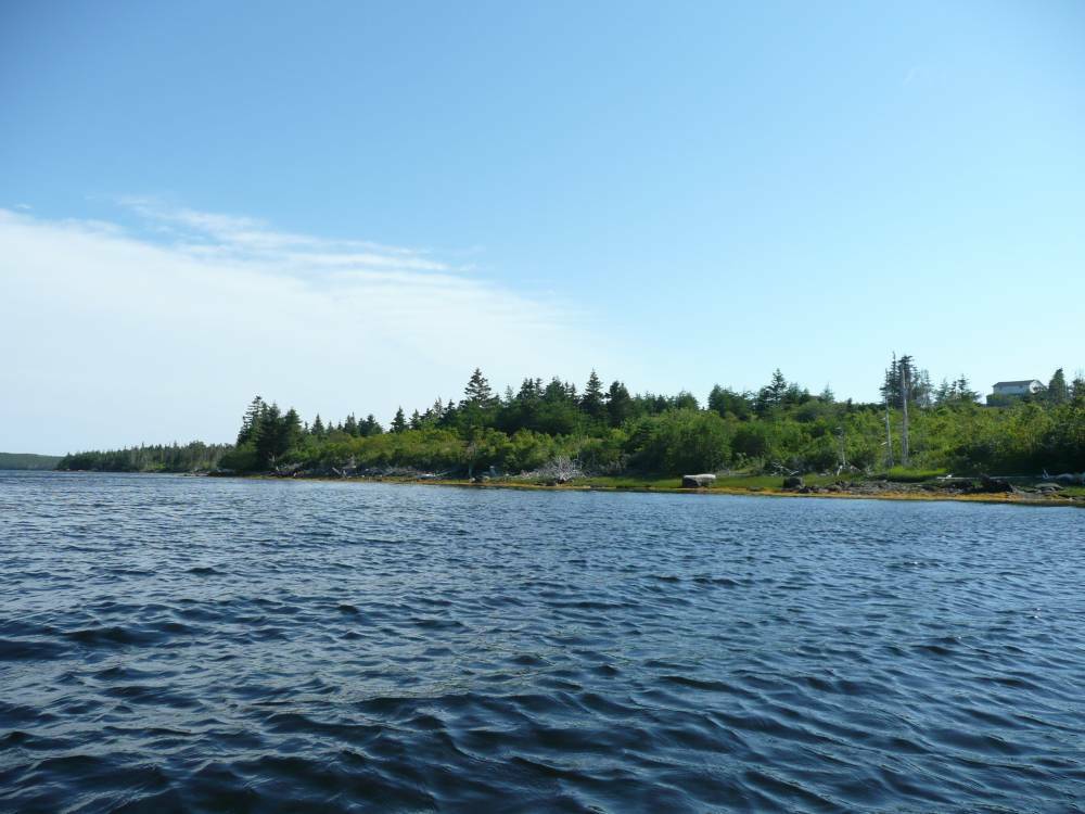 Gorgeous plots of land right by the water in Upper Whitehead 2