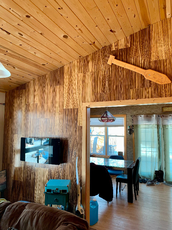 Cozy year round cabin on 2 Lots for sale -beautiful Sandy Beach 3