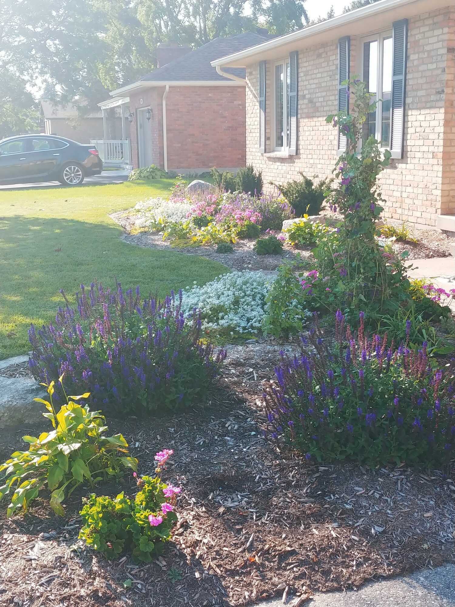 Charming 4 Bedroom, 2 Bathroom Brick Bungalow on a Large, Beautifully Landscaped Property in the Town of Dorchester! 3