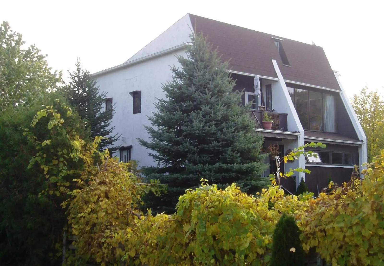 Blue Mountain ski chalet for sale 2