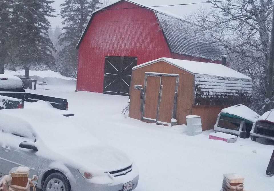 Country living in rural New Brunswick 2