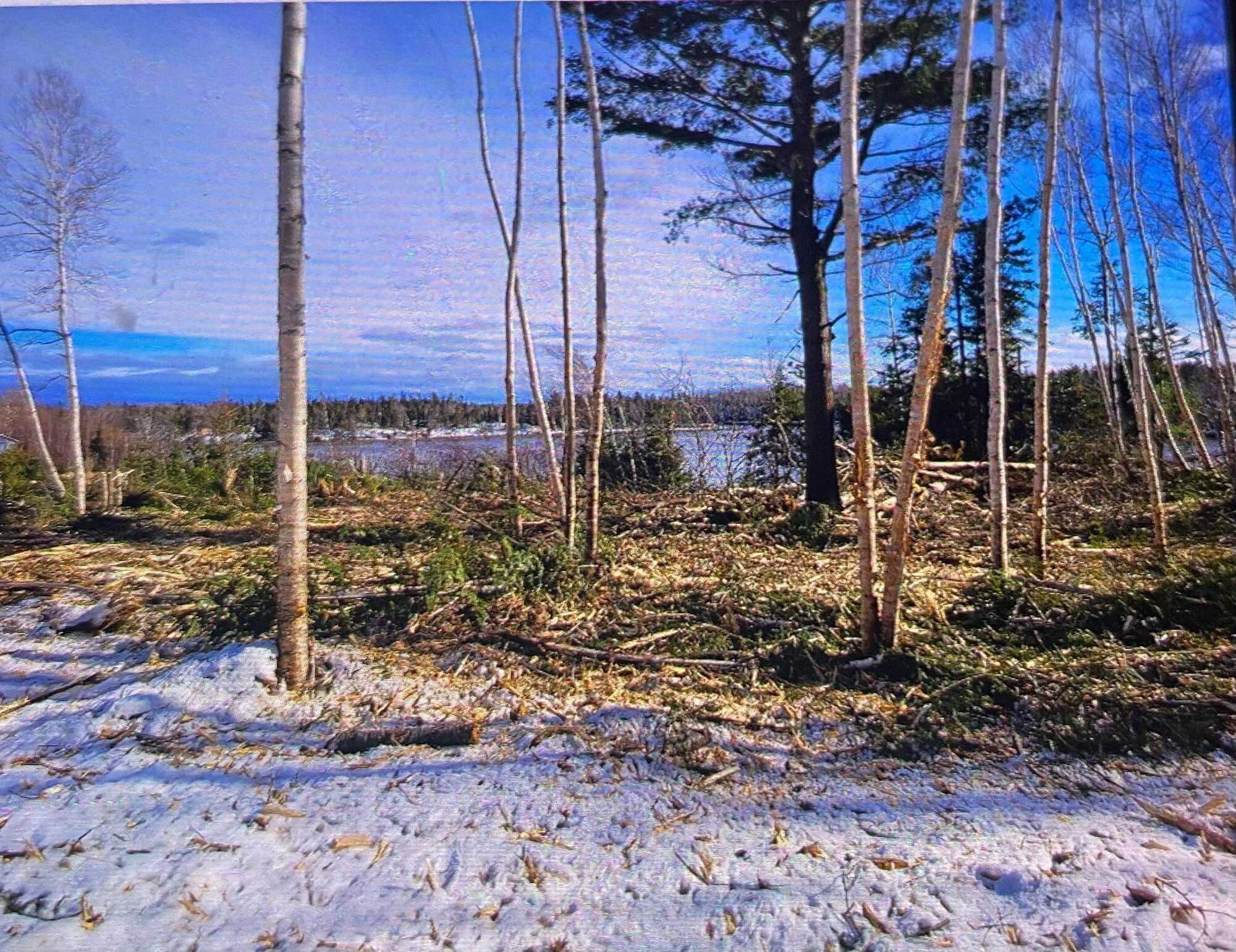 Almost 16 acres with over 2500 feet of water frontage! 2