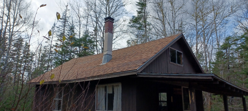 16' x 24' camp on 131 acres of mixed forest - near New Germany 2
