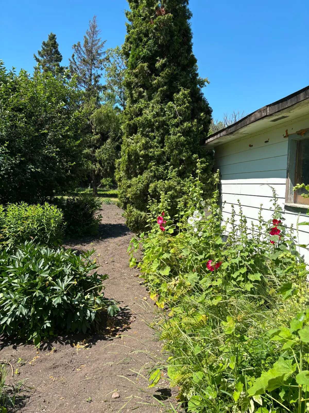 11.5-Acre Country Home with Heated Shops 2