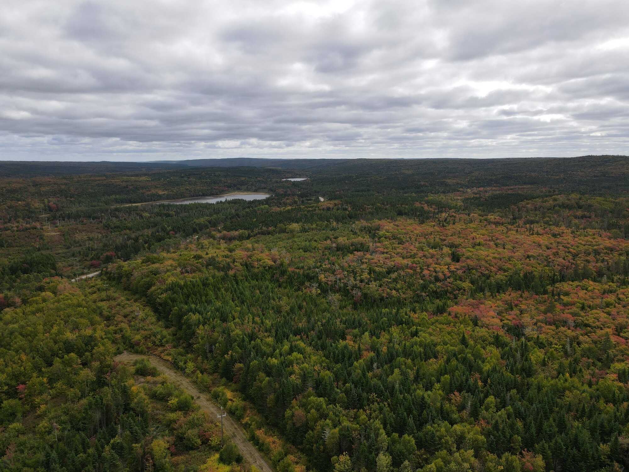 5+ Acres in Beautiful Ogden, Nova Scotia! 5