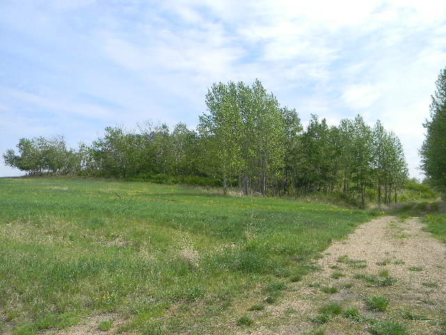 Block 1 Lot 13, Opal 2