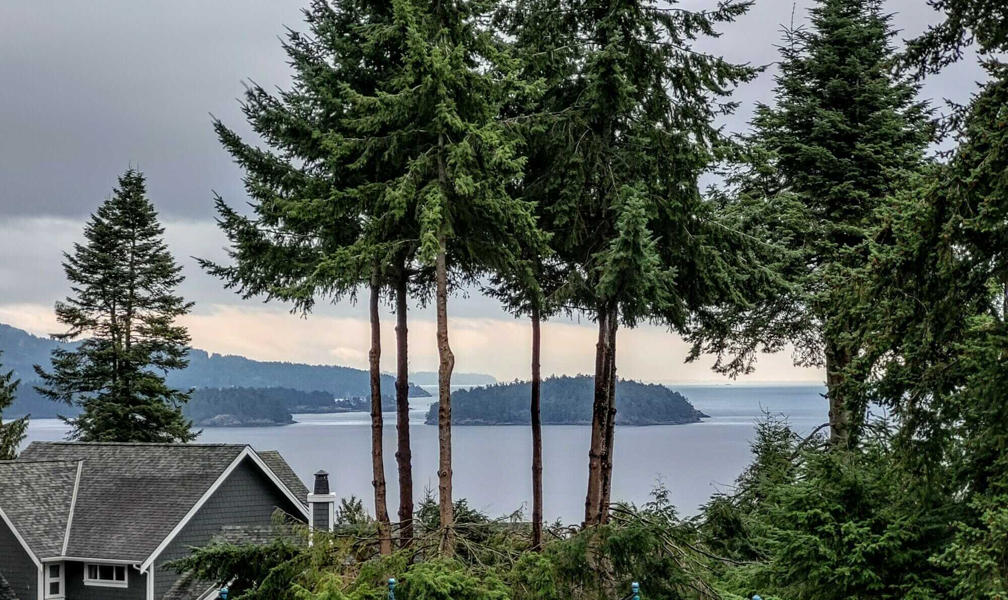 Half acre building lot with wide-angle ocean views, and approved Building Permit! 2