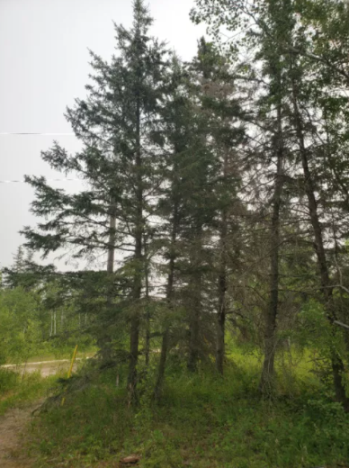 Beach property for sale 4