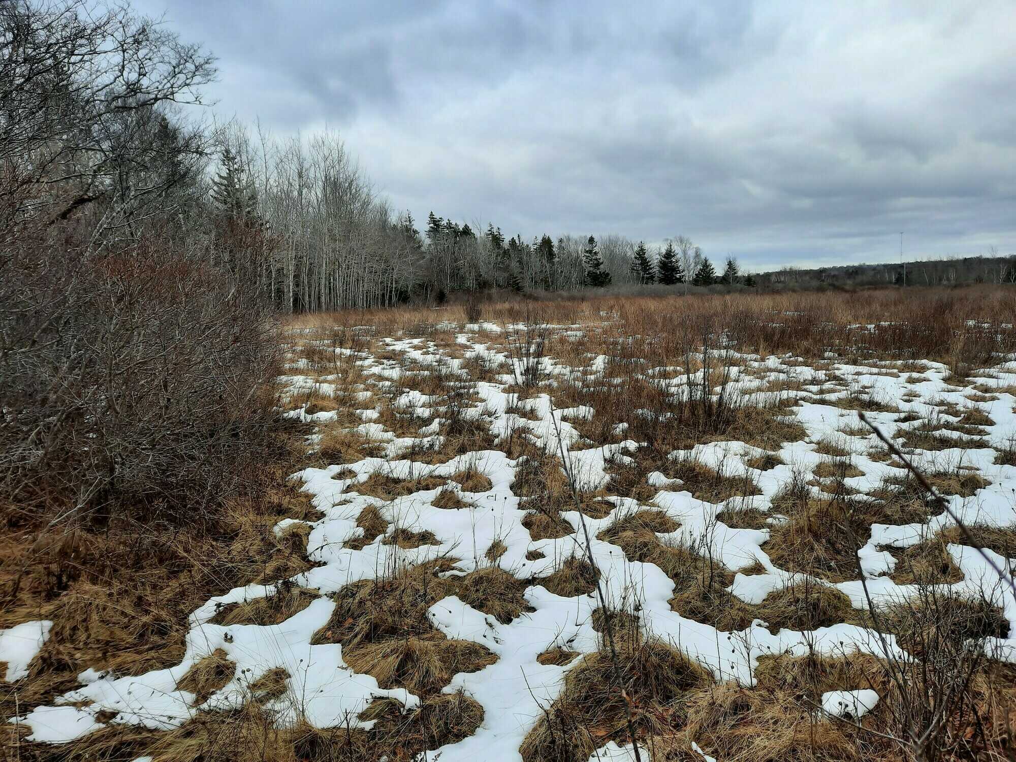Old farm property with great potential! 2