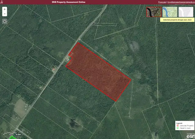 100 acres woodlot near Bryant's Corner, New Brunswick 2