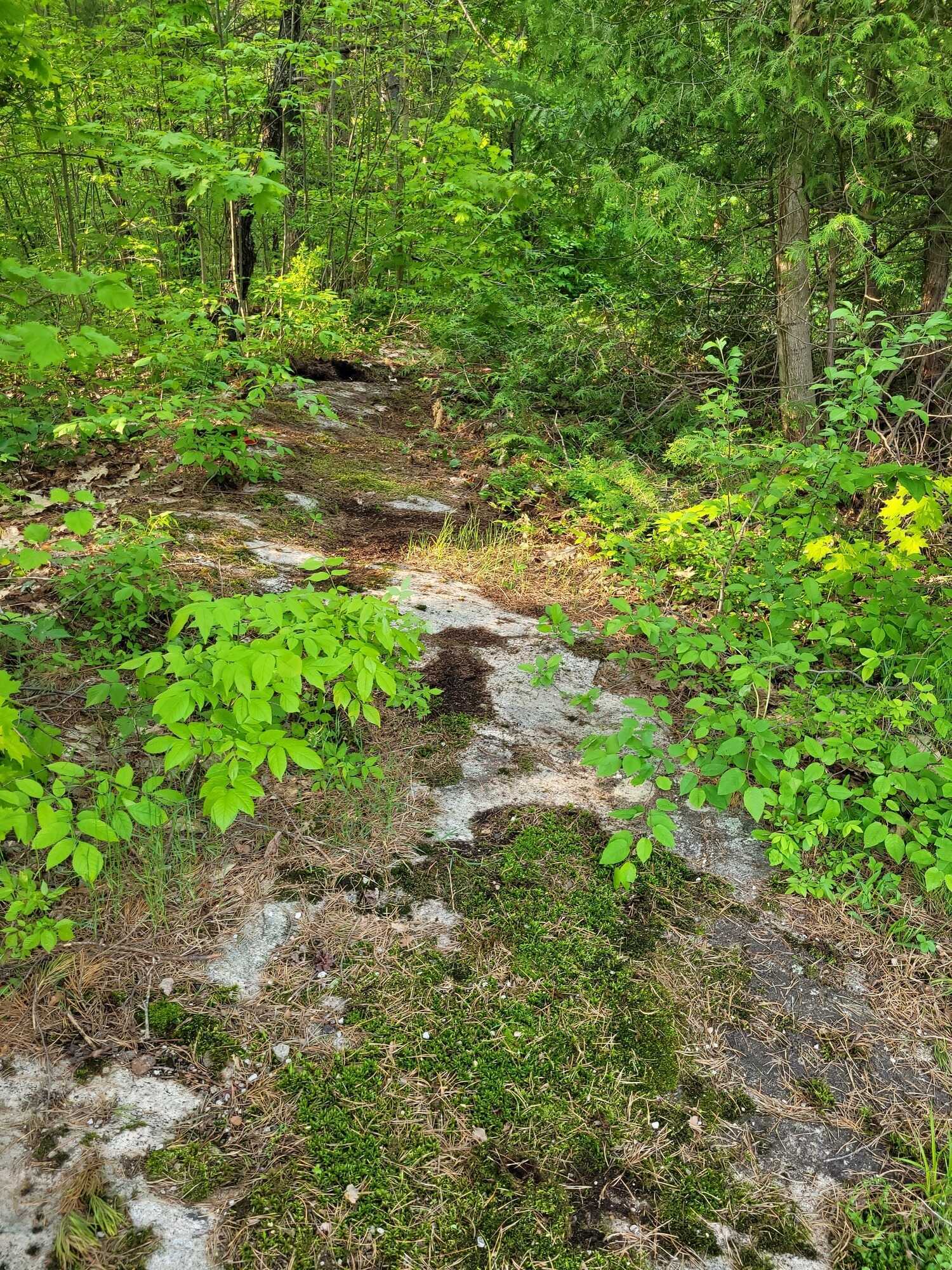 Rare Opportunity — Double Town Lots in Baysville, Ont: Serviced! 2