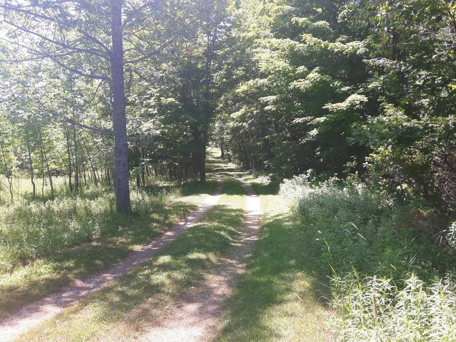 13 Acres of Waterfront on Beautiful Lake Manitou 2