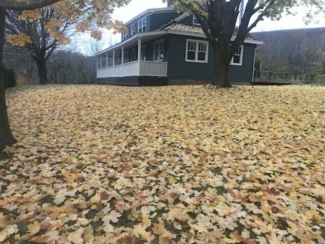 Beautiful and rare 60 acre south facing hobby farm! 5