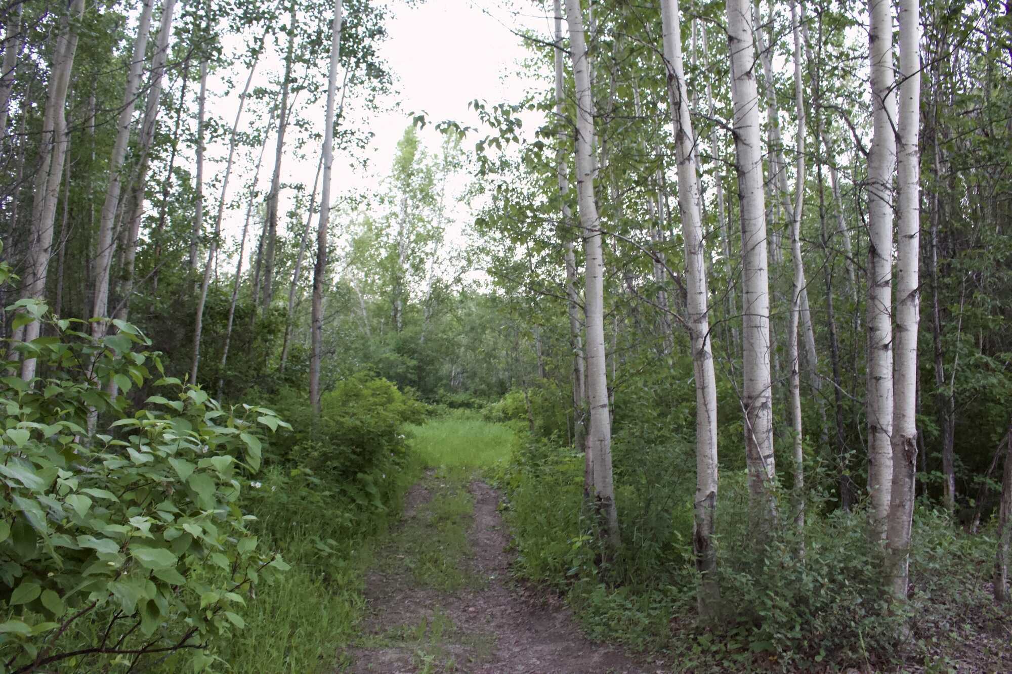 Development opportunity in Fort Saint James with lake & mountain views! 2