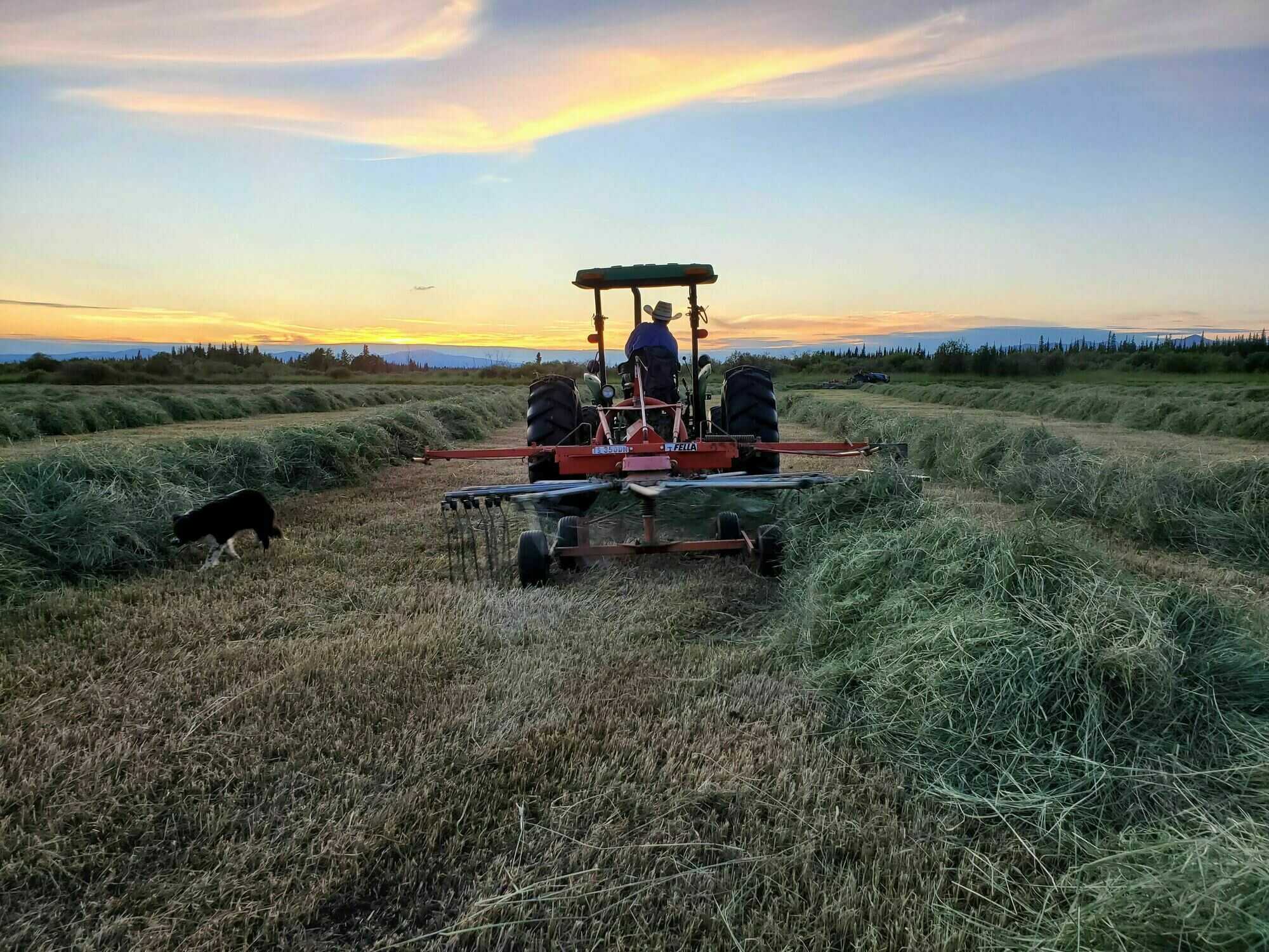 Working Cattle Ranch for Sale 5
