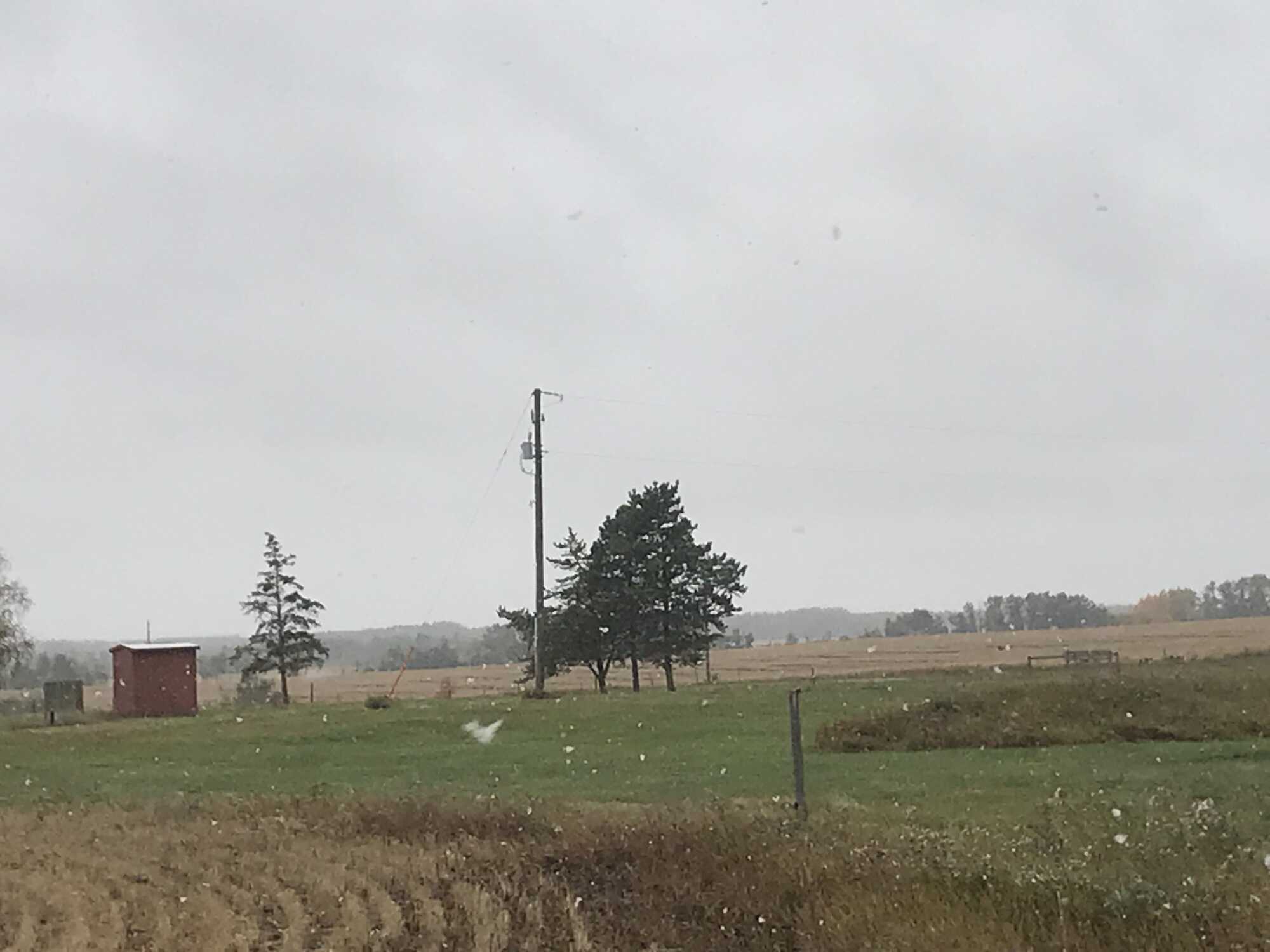 Land for Sale 3
