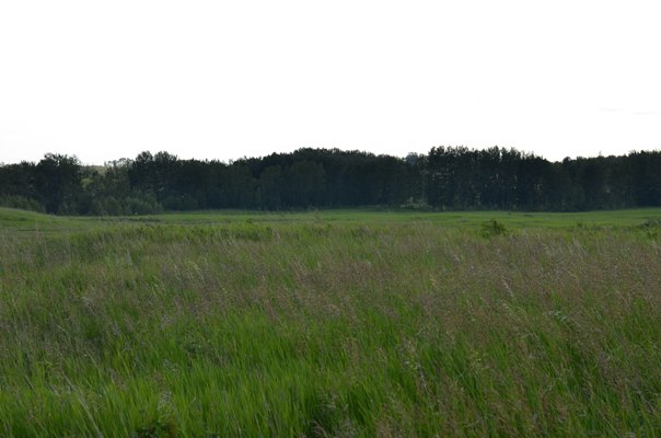 Foxfire Glen Lot 4 Block 3, Rimbey 4