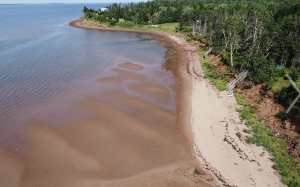 Experience the ultimate in coastal living with this exquisite executive waterfront property on the picturesque Panmure Island! 2