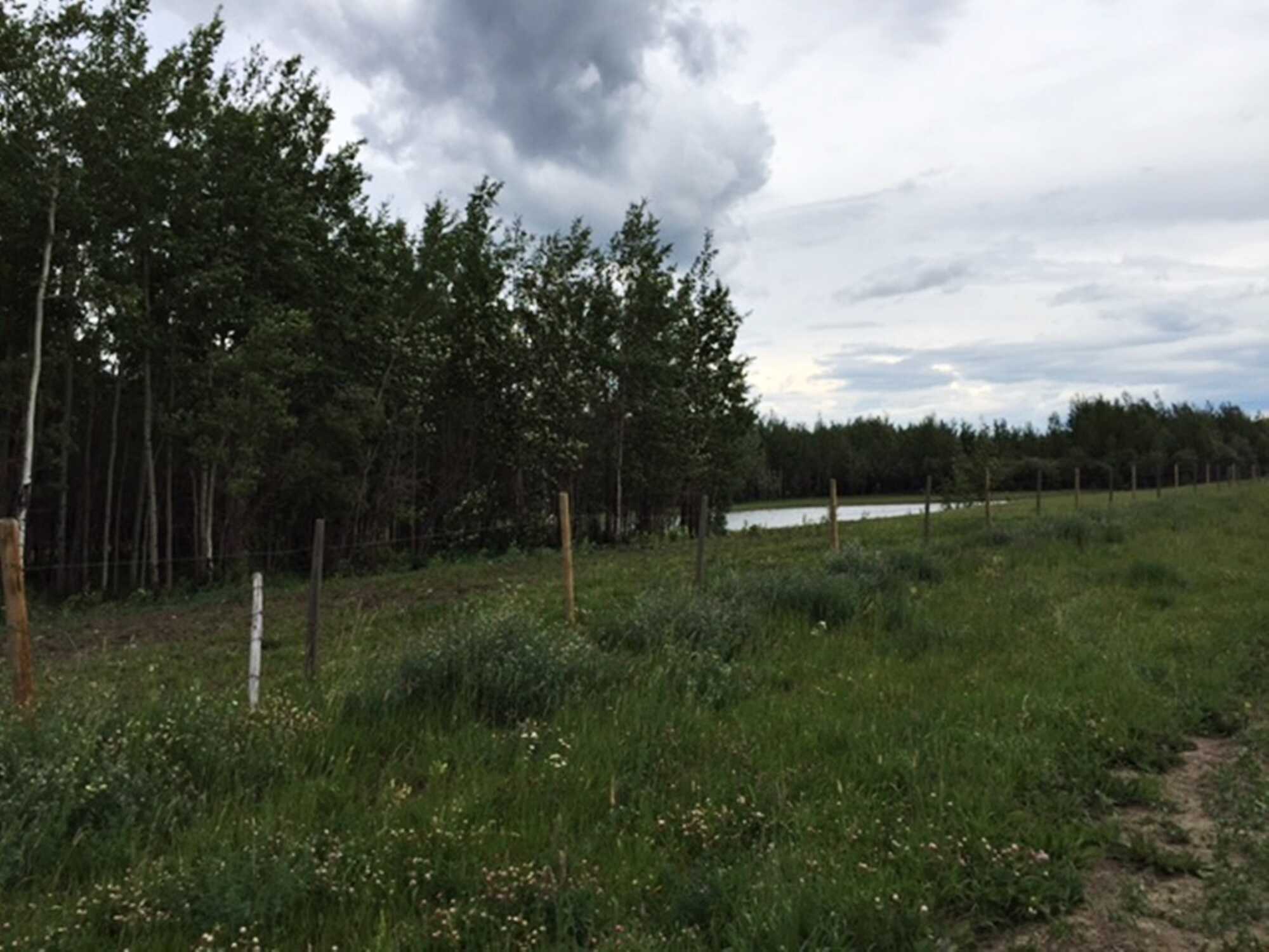 Township Rd 782 Range Rd 90, Spirit River 3