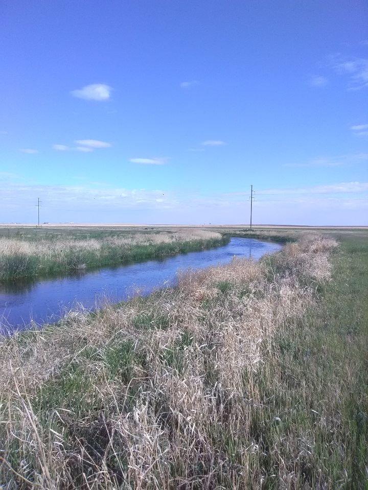 Hwy 33, Regina 4